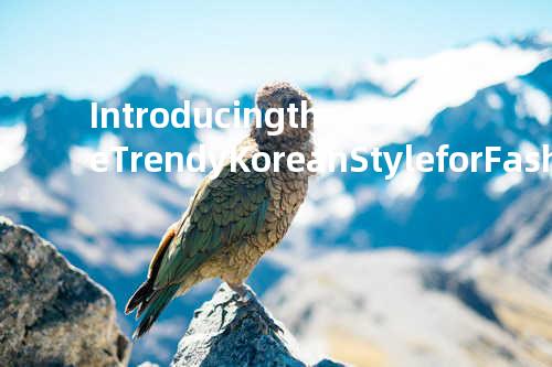Introducing the Trendy Korean Style for Fashionable Women